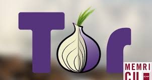 VPNs and Tor Blocking