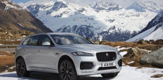 All New F-Type Jaguar Designed For Ultimate Performance! Jaguar F type